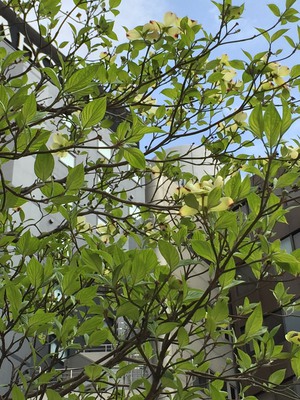 IMG_1354.jpeg