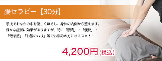 手技でおなかの中を優しくほぐし、身体の内側から整えます。
                様々な症状に効果がありますが、特に「腰痛」・「便秘」・
                「倦怠感」「お腹のハリ」等でお悩みの方にオススメ！！
                4,200円＋税