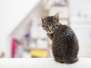 【症例】猫背が気になる、治したい（３０代男性）